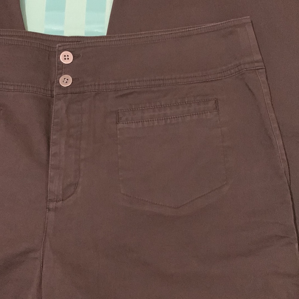 Chico’s Brown Pants size 2